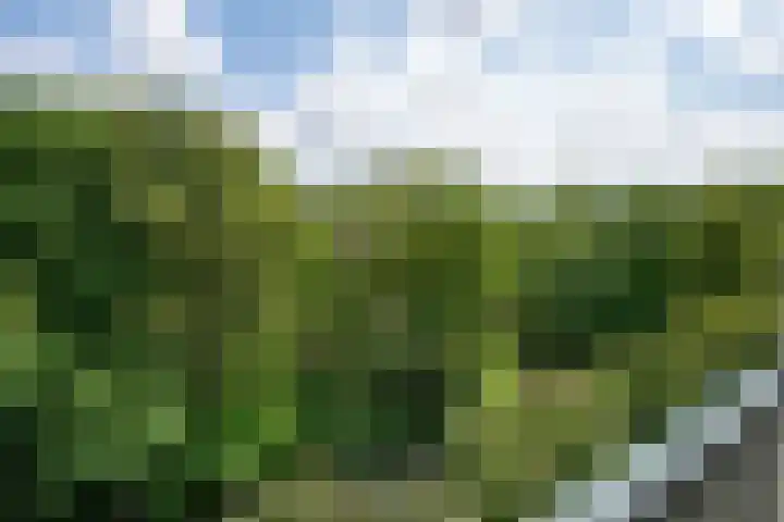 De Zalmen 97 Doorwerth thumbnail 27