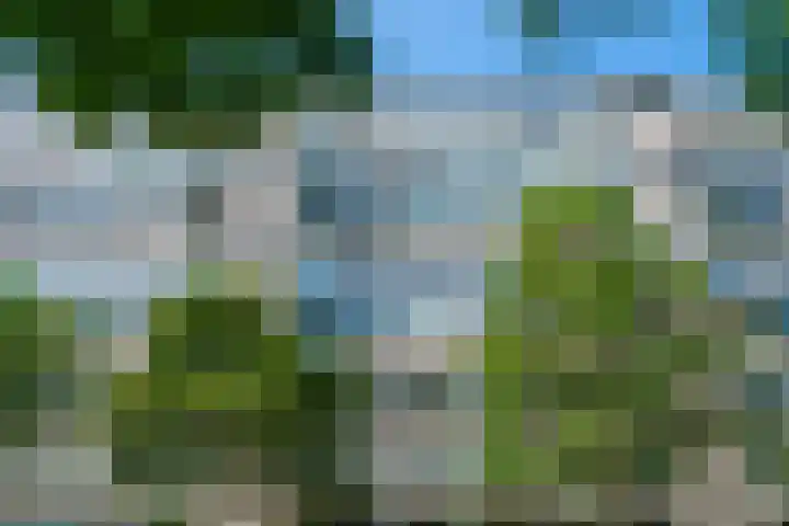De Zalmen 97 Doorwerth thumbnail 36