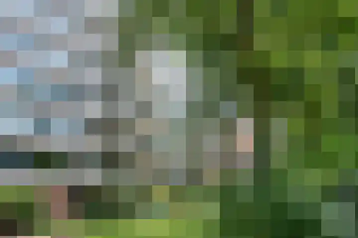 De Zalmen 97 Doorwerth thumbnail 37