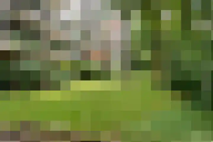 De Zalmen 97 Doorwerth thumbnail 38