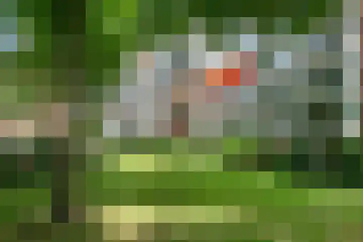 De Zalmen 97 Doorwerth thumbnail 39
