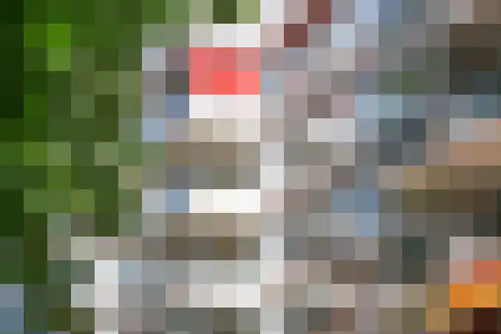 De Zalmen 97 Doorwerth thumbnail 41