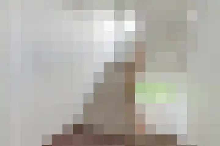 De Zalmen 97 Doorwerth thumbnail 7