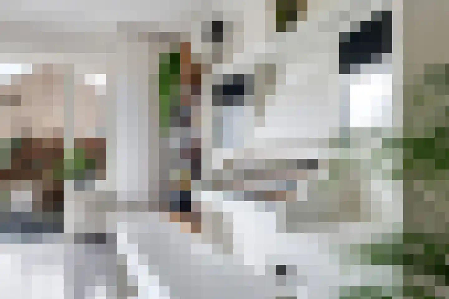 De Zandakkers 1 a Herveld thumbnail 22