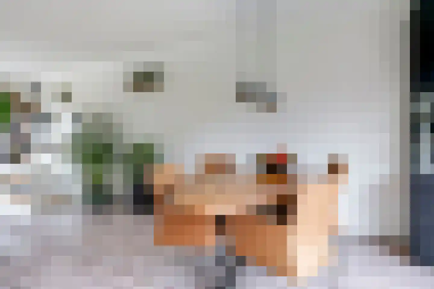 De Zandakkers 1 a Herveld thumbnail 36