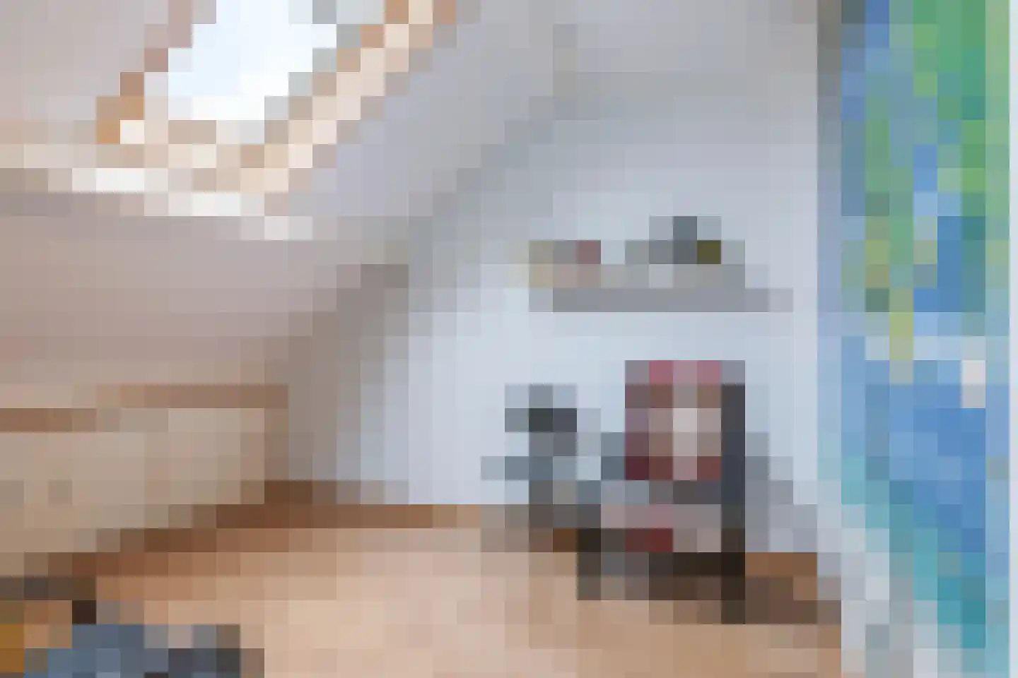 De Zandakkers 1 a Herveld thumbnail 55
