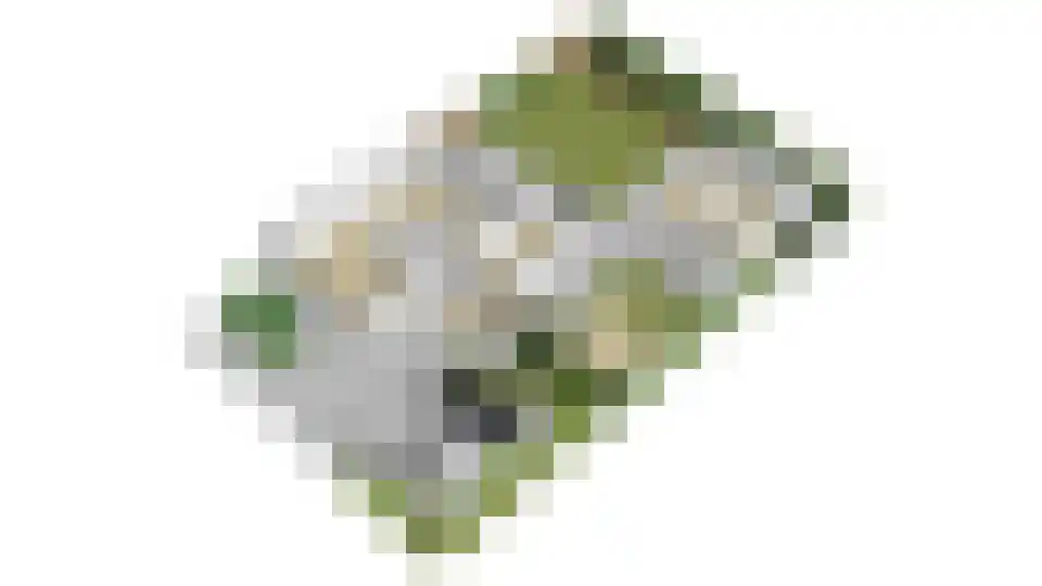 De Zandakkers 1 a Herveld thumbnail 58
