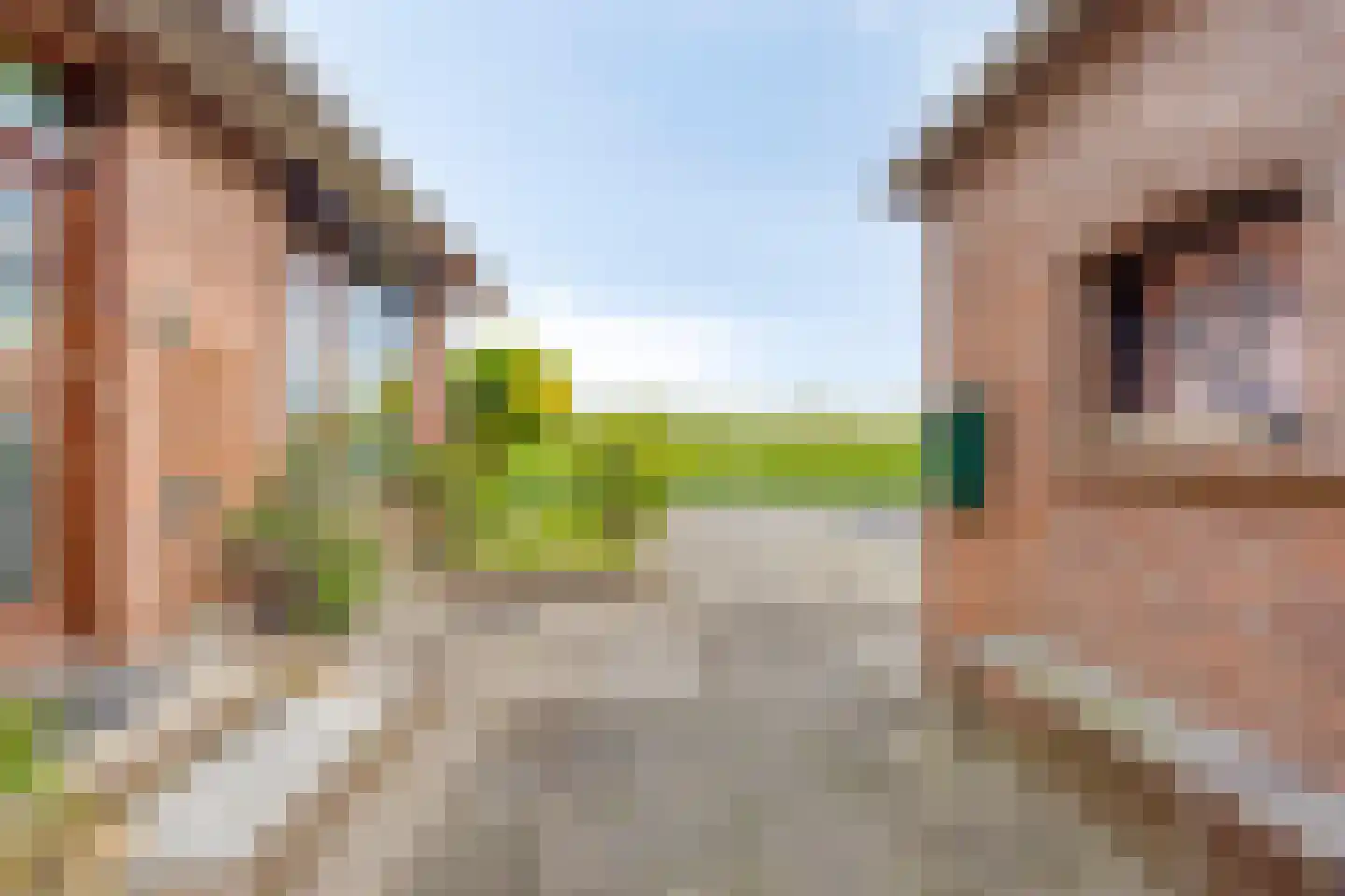 De Zandakkers 57 Herveld thumbnail 13