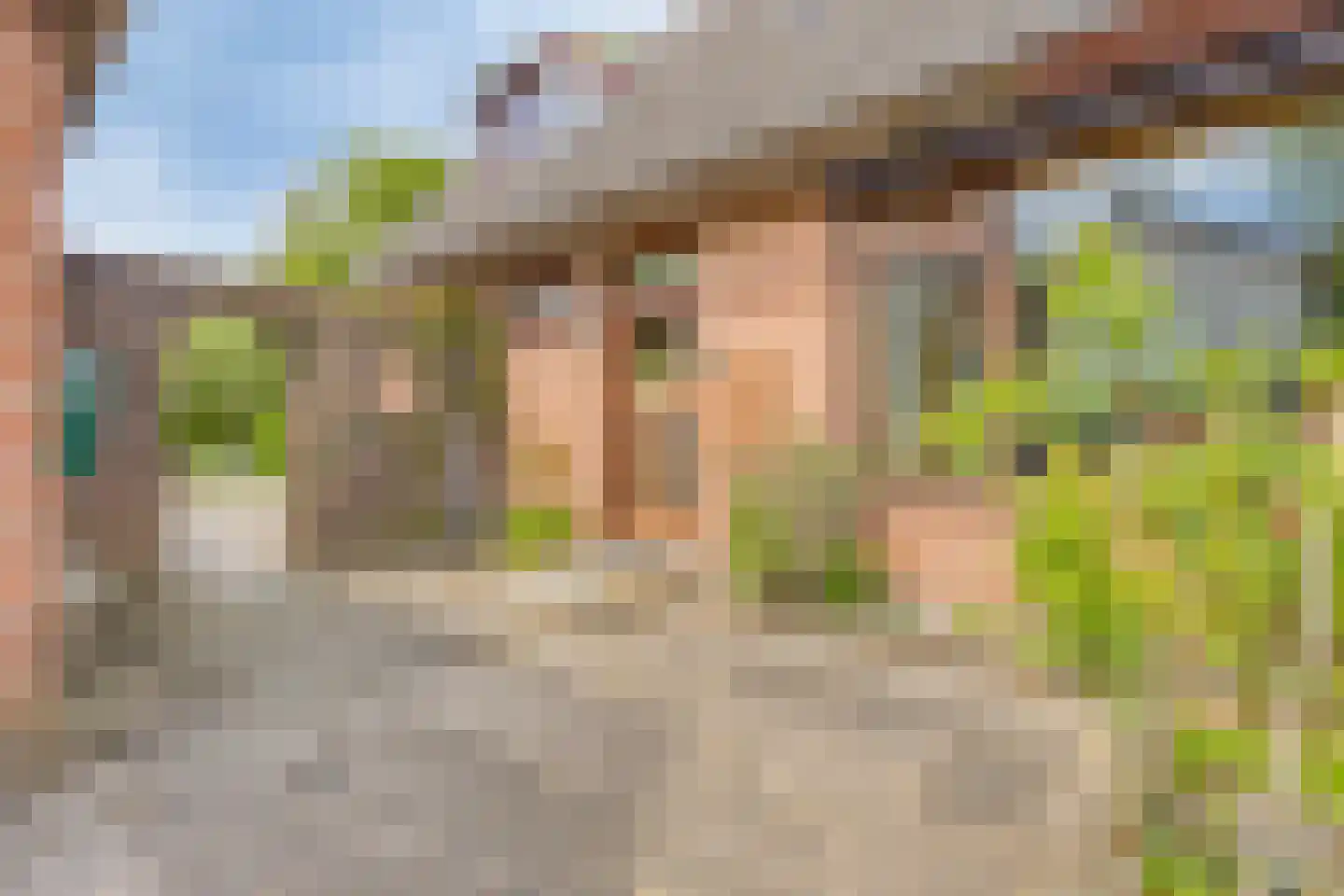 De Zandakkers 57 Herveld thumbnail 14