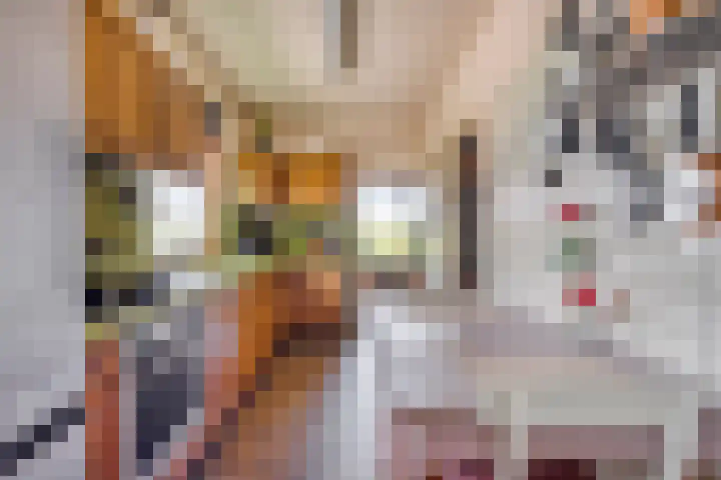 De Zandakkers 57 Herveld thumbnail 20