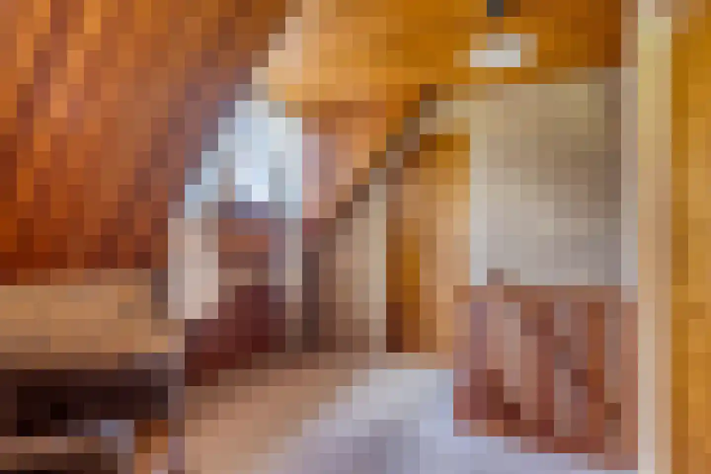 De Zandakkers 57 Herveld thumbnail 27