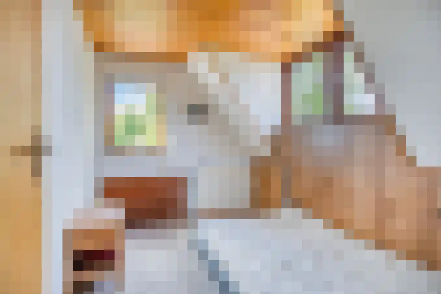 De Zandakkers 57 Herveld thumbnail 31