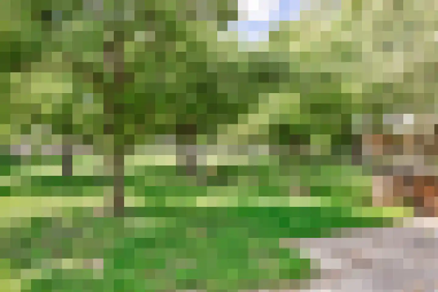 De Zandakkers 57 Herveld thumbnail 40