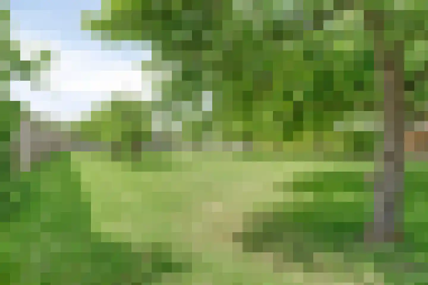 De Zandakkers 57 Herveld thumbnail 41