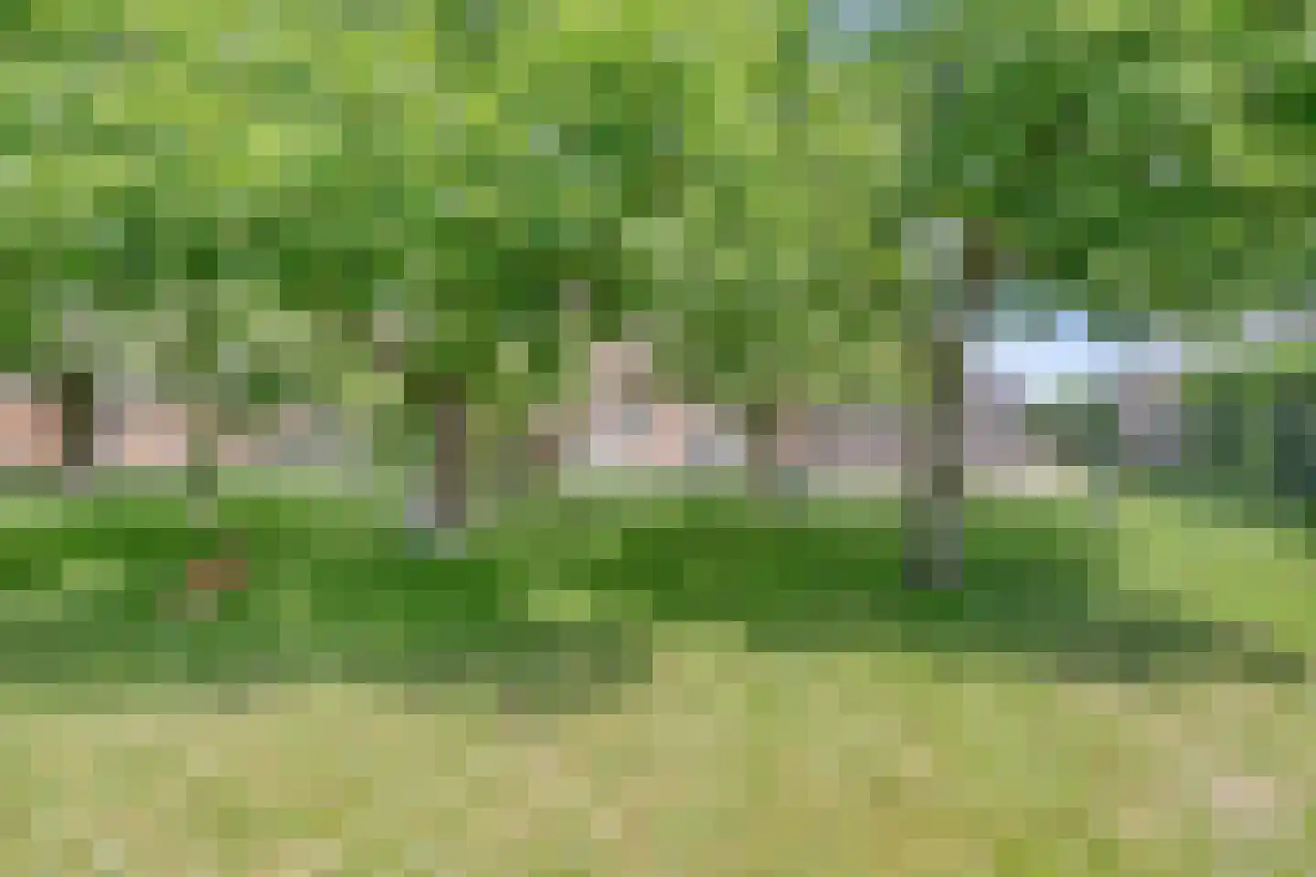 De Zandakkers 57 Herveld thumbnail 43