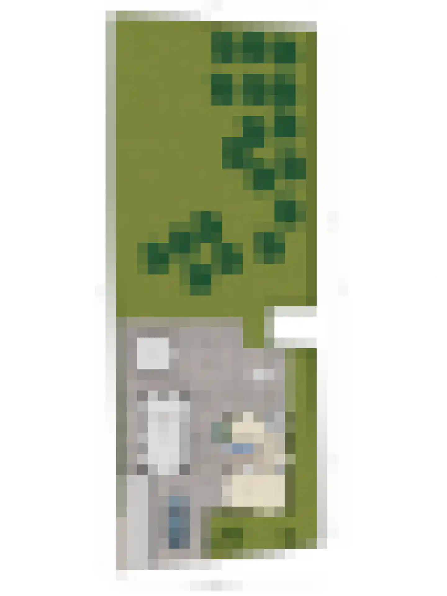 De Zandakkers 57 Herveld thumbnail 44