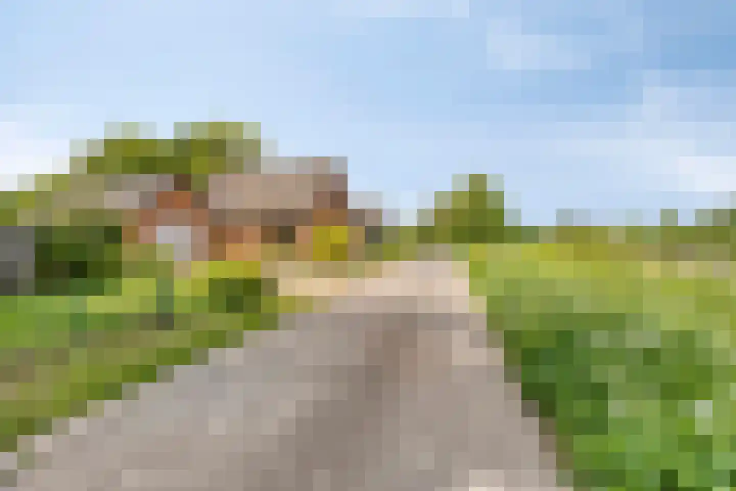 De Zandakkers 57 Herveld thumbnail 5