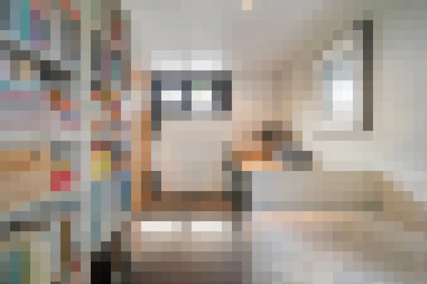 de Zande 18 A Kamperveen thumbnail 32