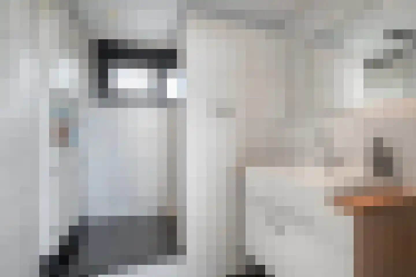 de Zande 18 A Kamperveen thumbnail 34