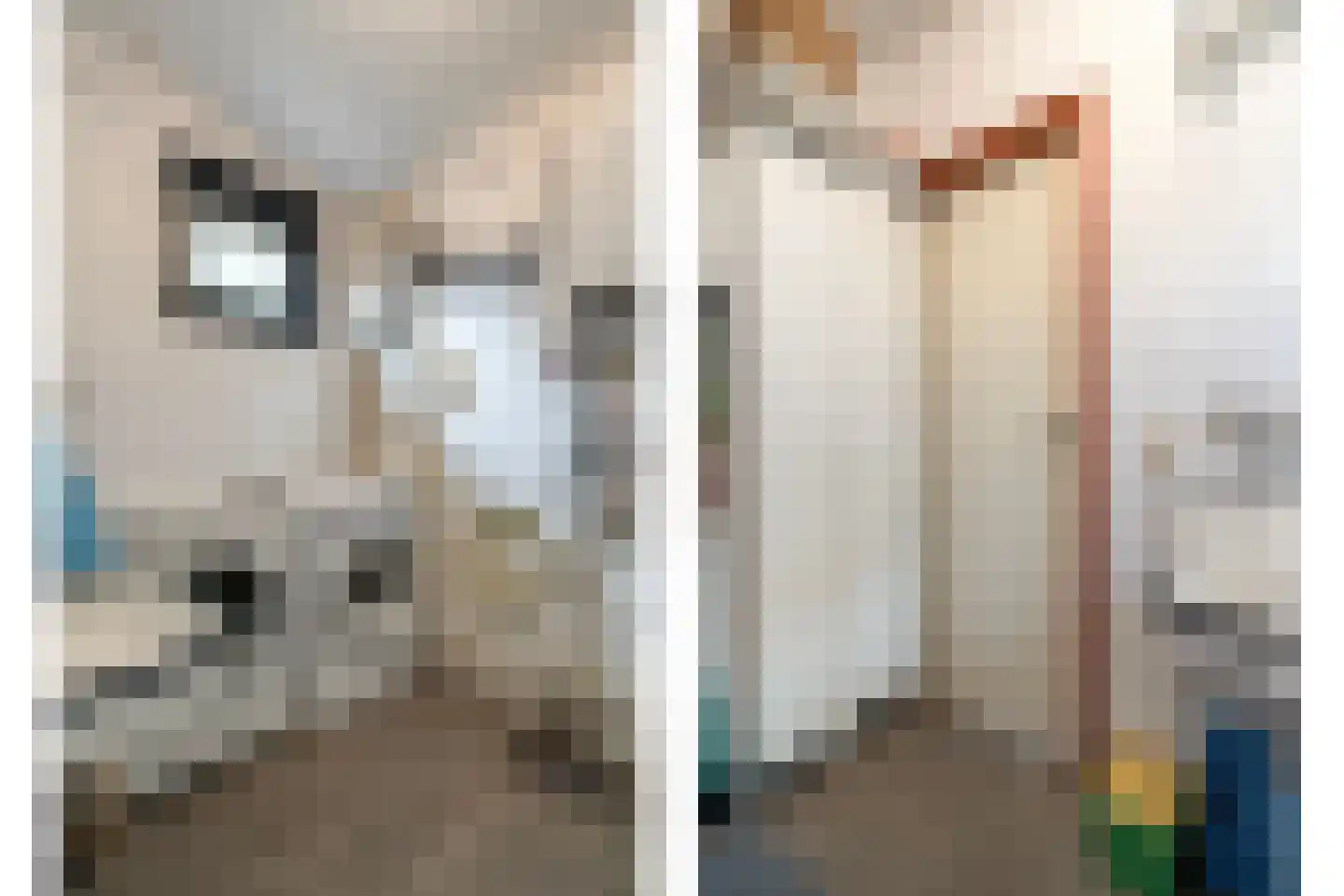 de Zande 18 A Kamperveen thumbnail 36