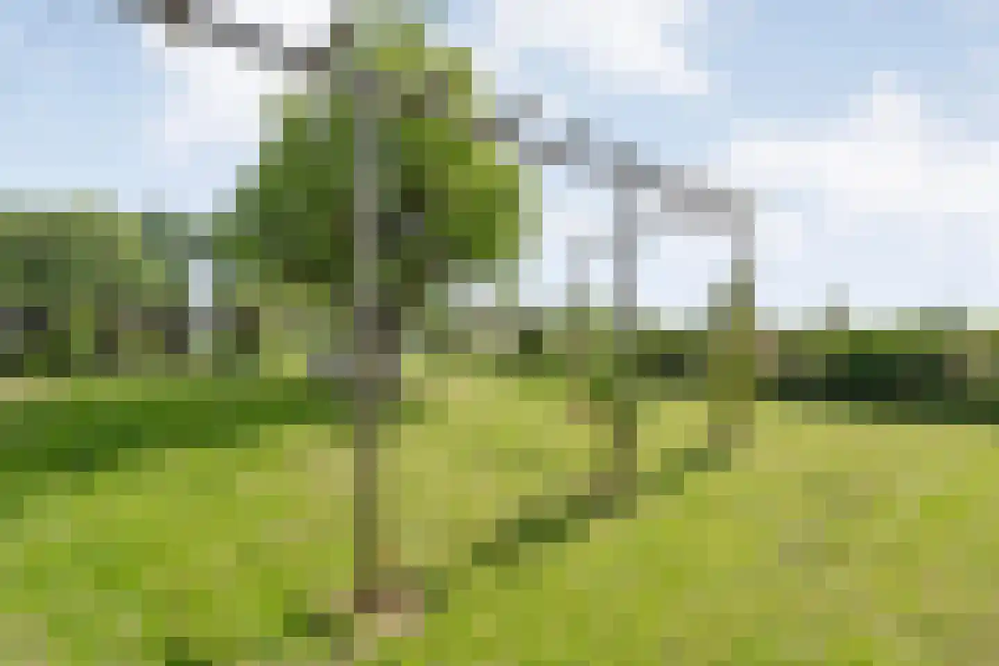 de Zande 18 A Kamperveen thumbnail 38