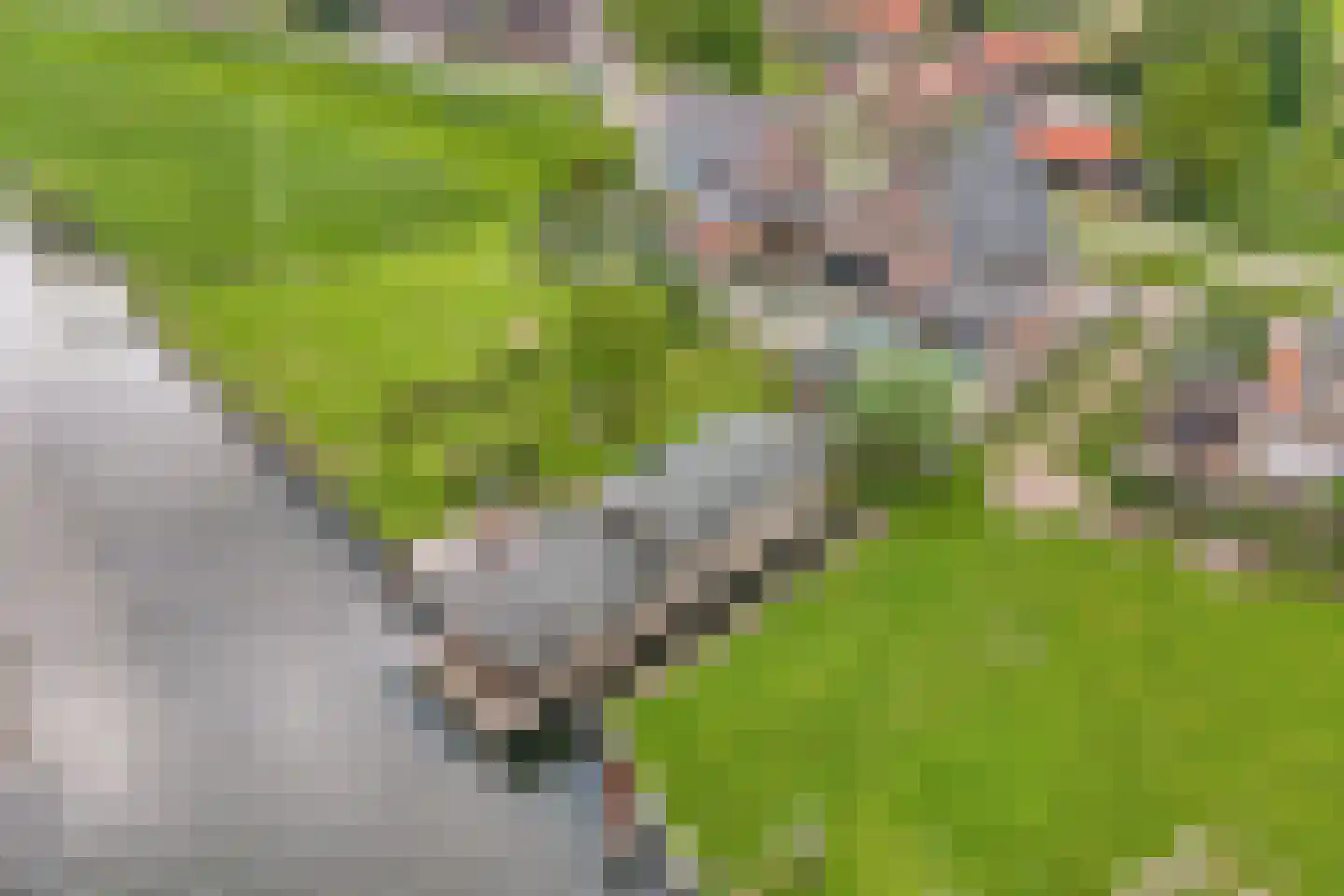 de Zande 18 A Kamperveen thumbnail 4
