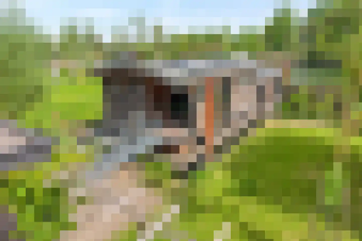 de Zande 18 A Kamperveen thumbnail 53