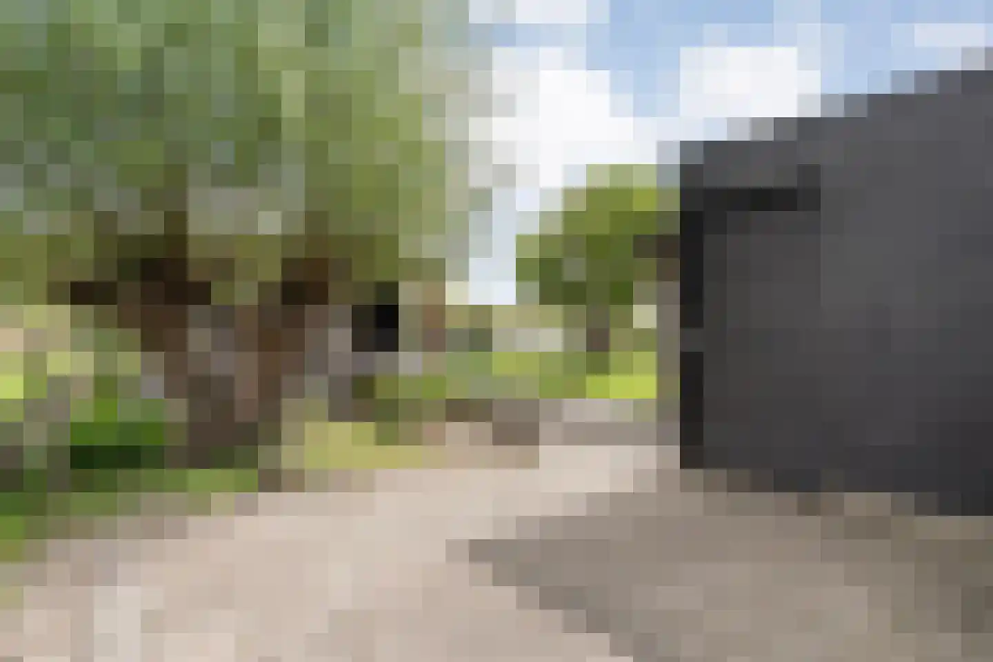 de Zande 18 A Kamperveen thumbnail 57