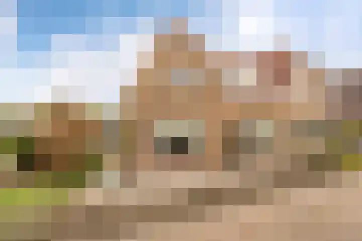 de Zande 4 Kamperveen