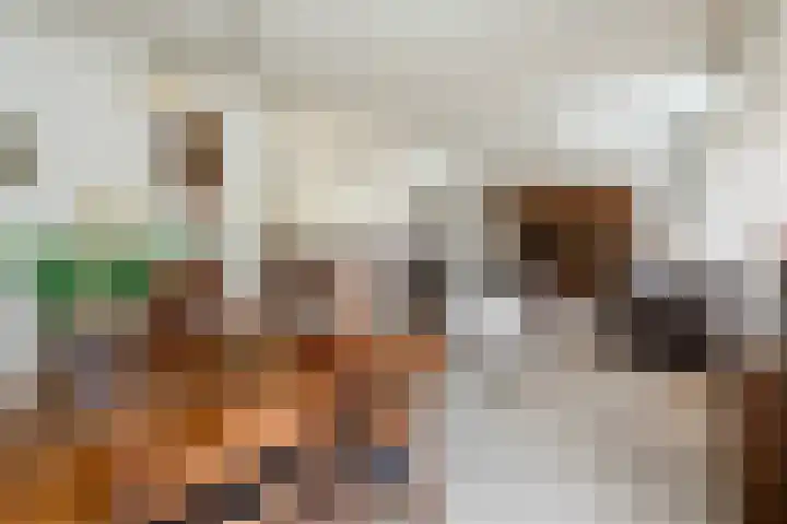 de Zande 4 Kamperveen thumbnail 19