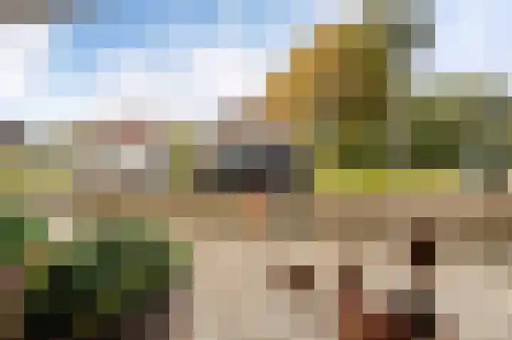de Zande 4 Kamperveen thumbnail 20