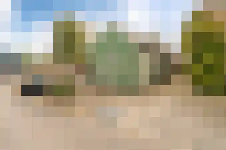 de Zande 4 Kamperveen thumbnail 24