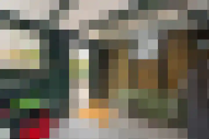 de Zande 4 Kamperveen thumbnail 32