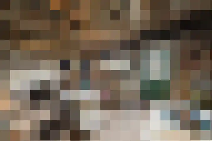 de Zande 4 Kamperveen thumbnail 36