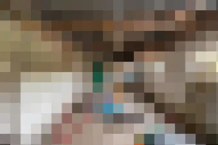 de Zande 4 Kamperveen thumbnail 38