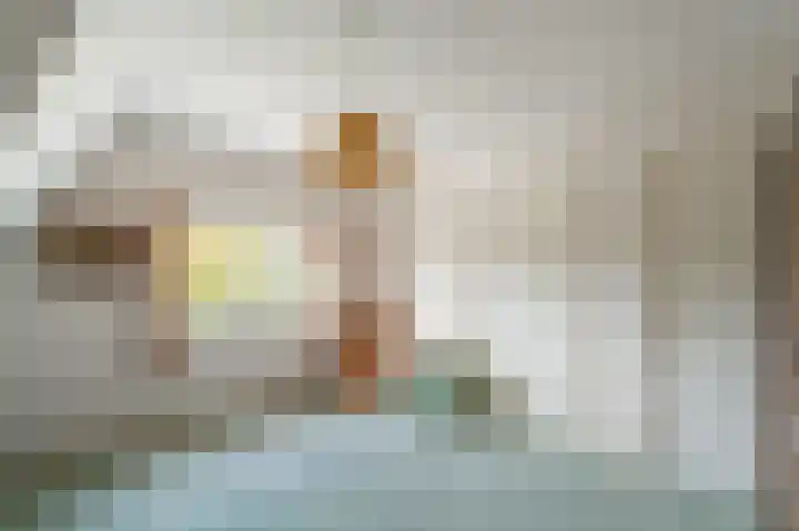 de Zande 4 Kamperveen thumbnail 45
