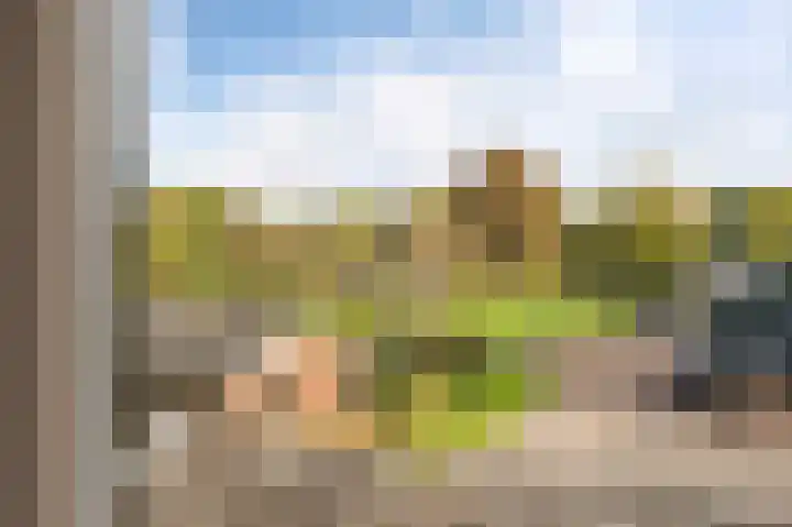 de Zande 4 Kamperveen thumbnail 50