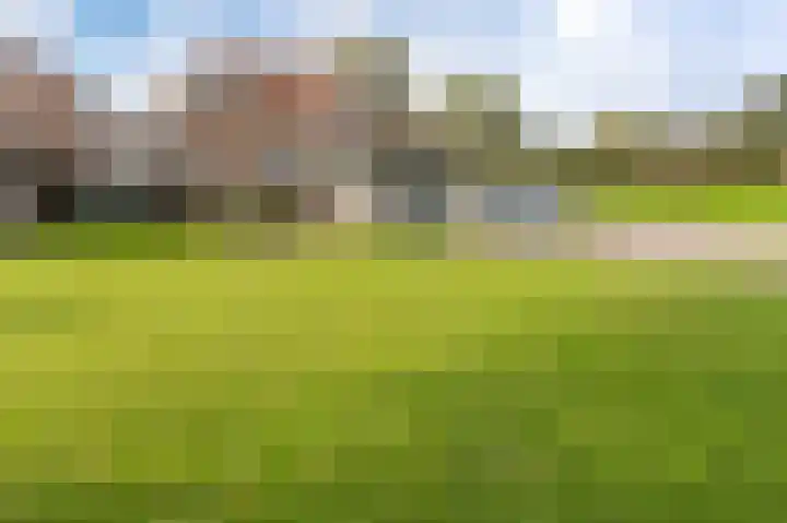 de Zande 4 Kamperveen thumbnail 51