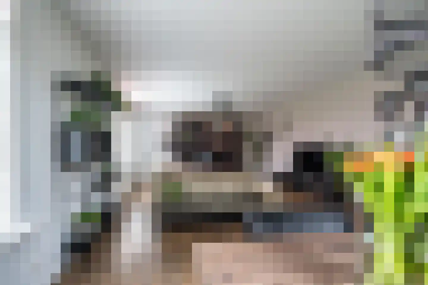 de Zande 40 Kamperveen thumbnail 10