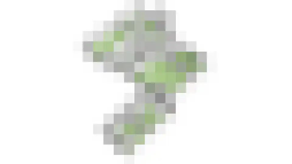 de Zande 40 Kamperveen thumbnail 104