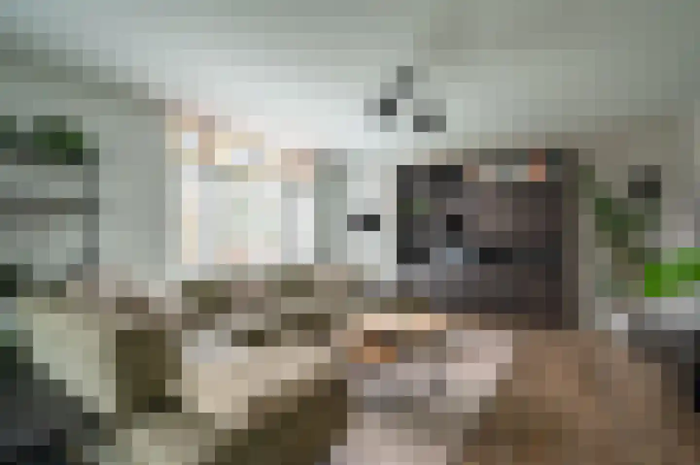 de Zande 40 Kamperveen thumbnail 11