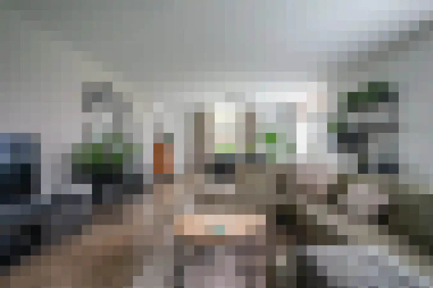 de Zande 40 Kamperveen thumbnail 13