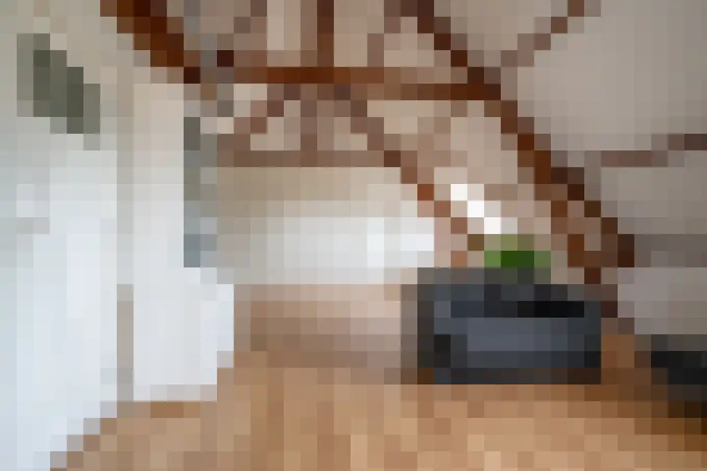 de Zande 40 Kamperveen thumbnail 27