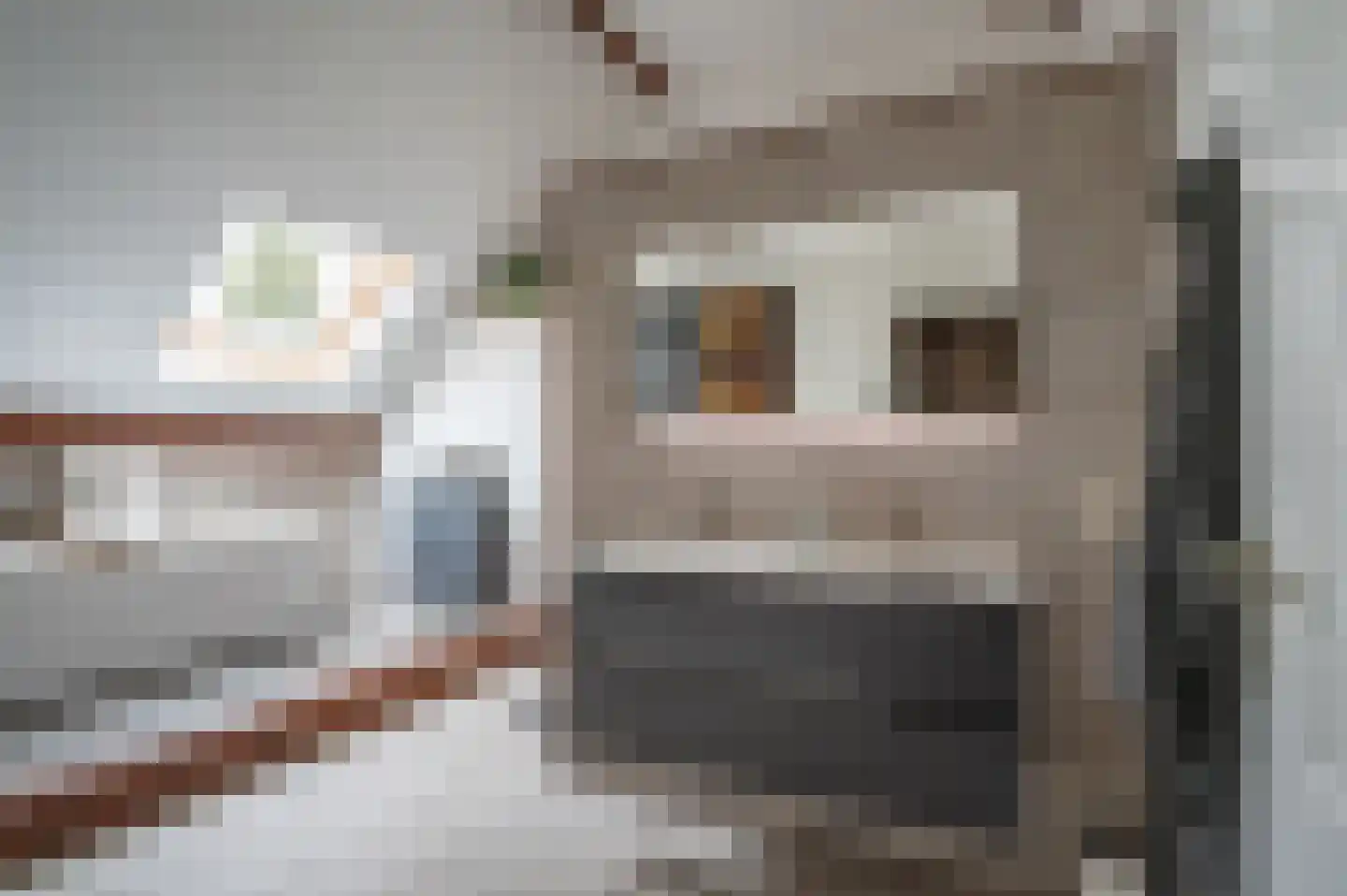 de Zande 40 Kamperveen thumbnail 34