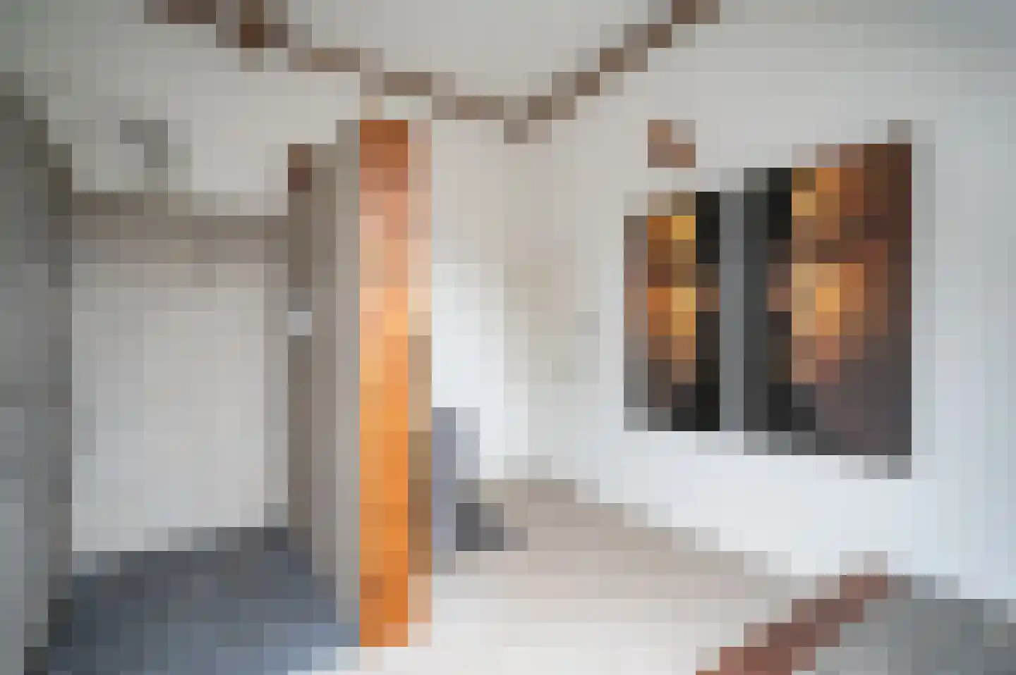de Zande 40 Kamperveen thumbnail 35