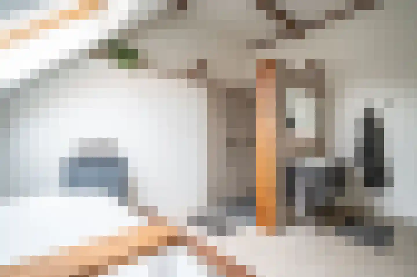 de Zande 40 Kamperveen thumbnail 36