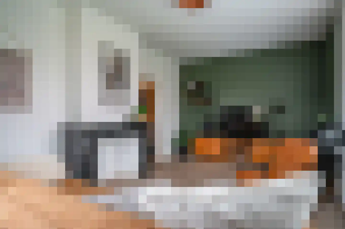 de Zande 40 Kamperveen thumbnail 49