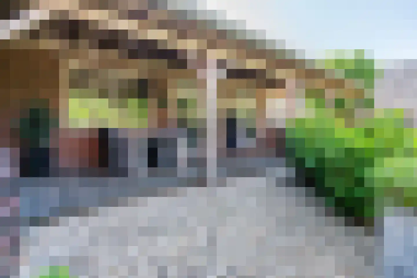 de Zande 40 Kamperveen thumbnail 82