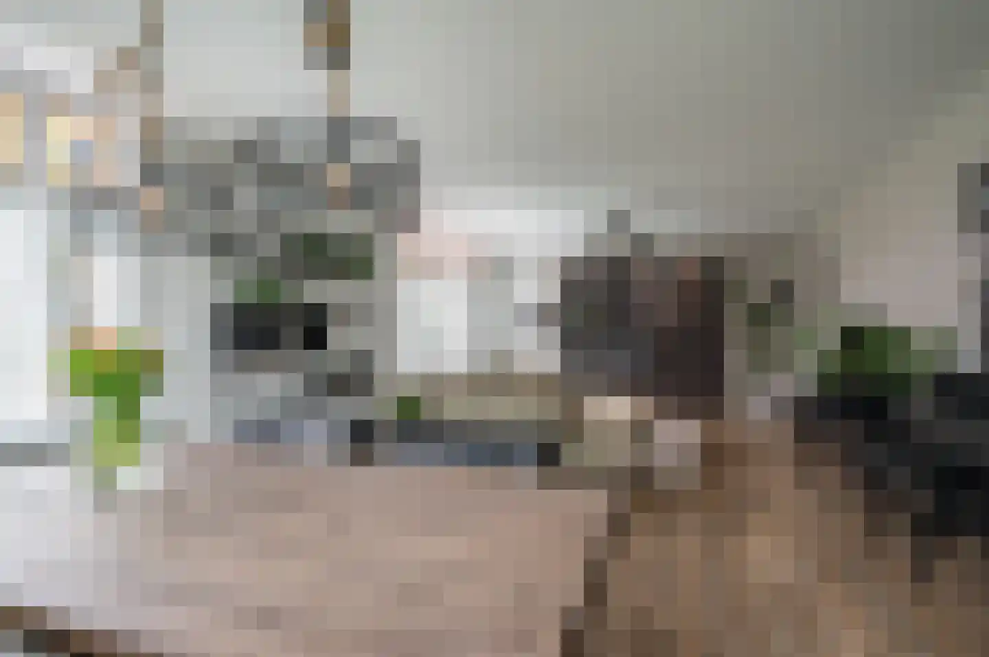 de Zande 40 Kamperveen thumbnail 9