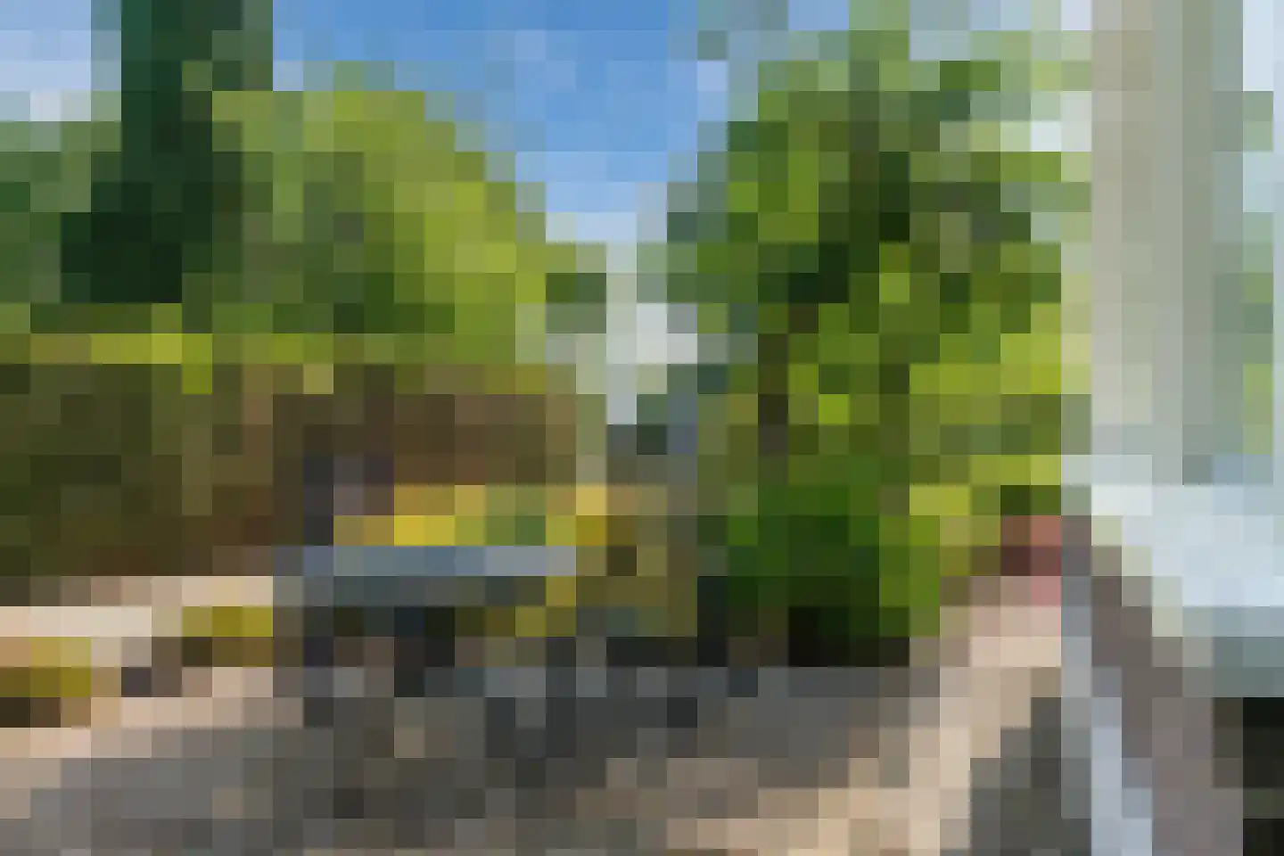 de Zande 40 Kamperveen thumbnail 90